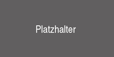 Baum Unternehmensgruppe logo